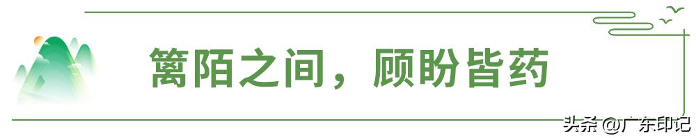 广东罗浮山风景名胜区攻略一日游,罗浮山人间仙境避暑胜地