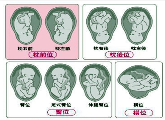 妇产科护理虚拟仿真实验教学,妇产科虚拟仿真实验中心介绍