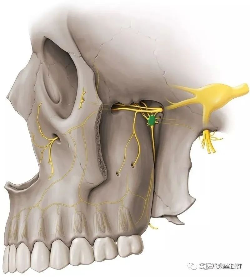 过敏性鼻炎一碗水搞定,对抗过敏性鼻炎的小妙招可试试