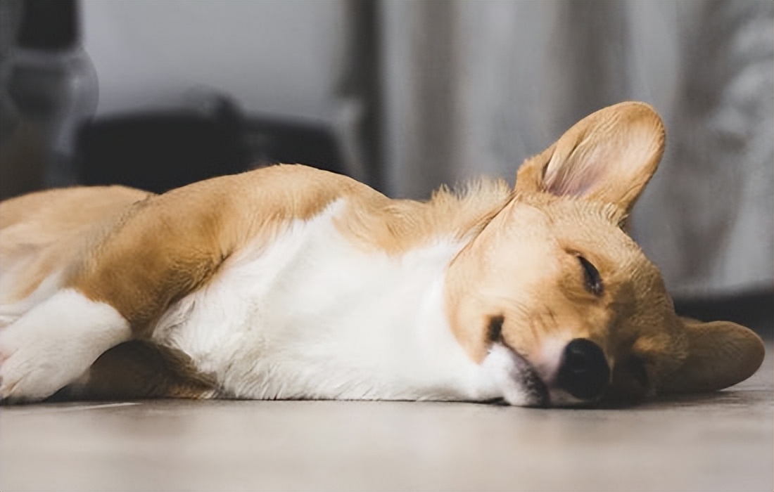 为什么只有人类女性有月经,女人独有的月经究竟有什么作用