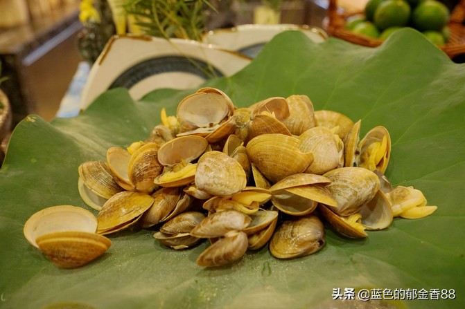 无名河我心中的伊甸园,画出我心中的伊甸园