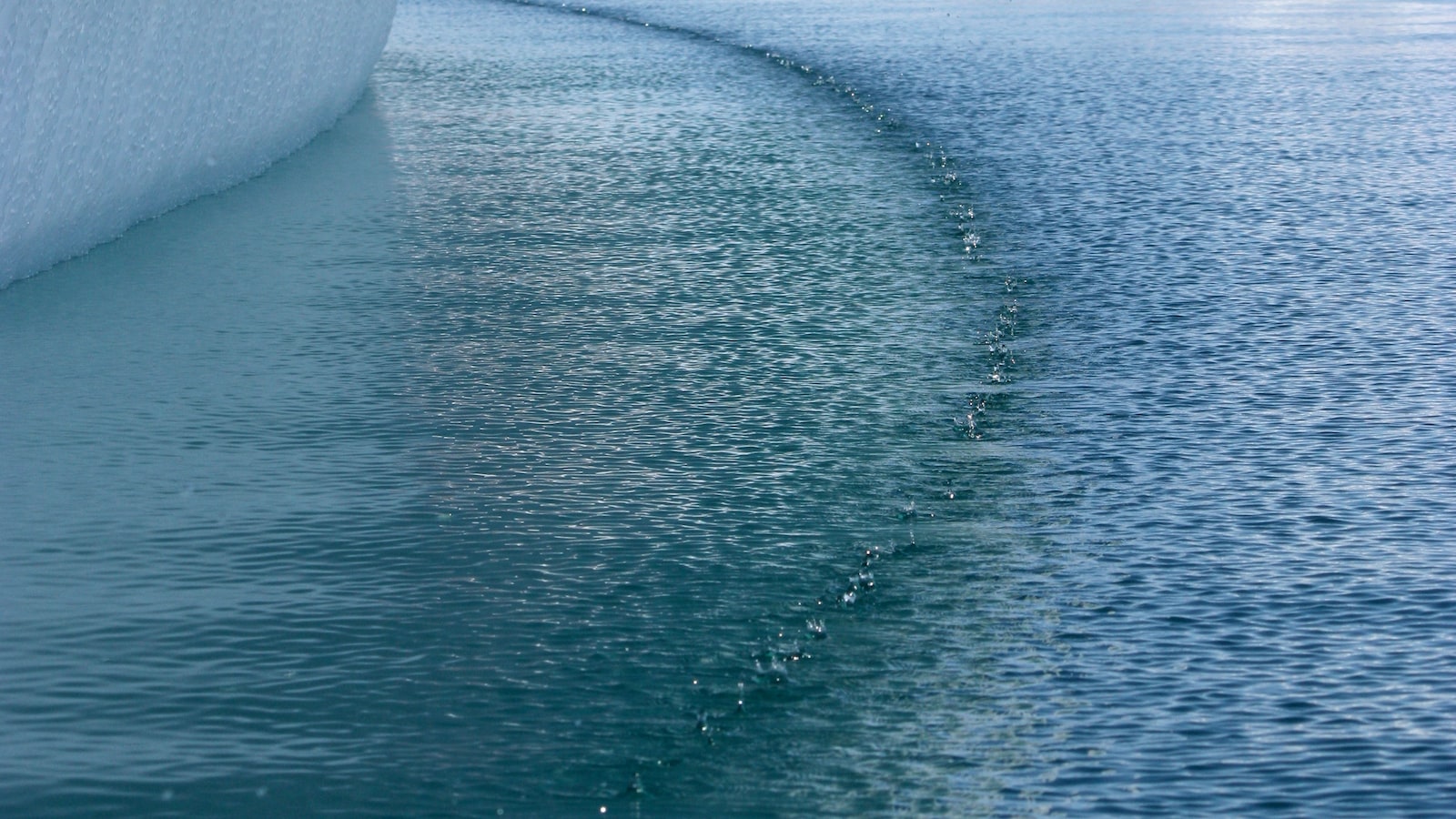 人工智能在智慧城市应用案例分析,人工智能应用感知