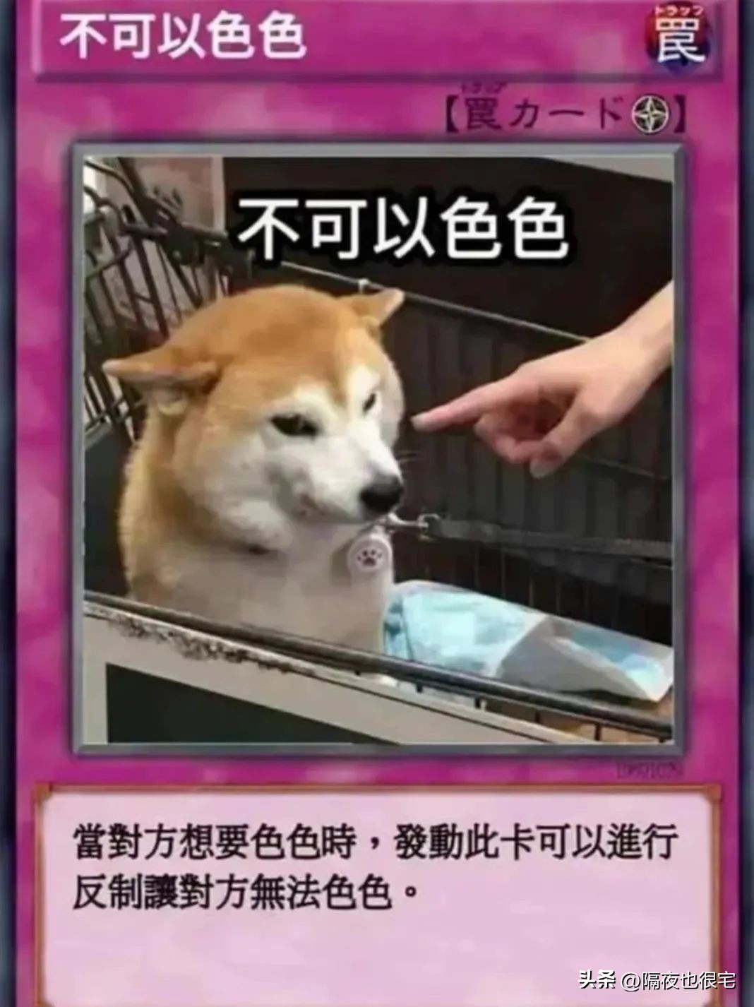 谈“色”色变的国内网友，网暴了无穷小亮和椰树集团