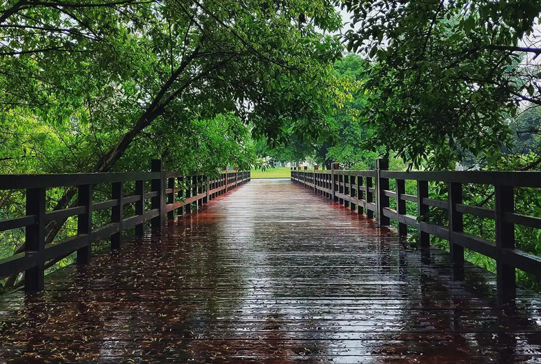 立秋当天下雨有什么说法,立秋当天下雨好还是不下雨好