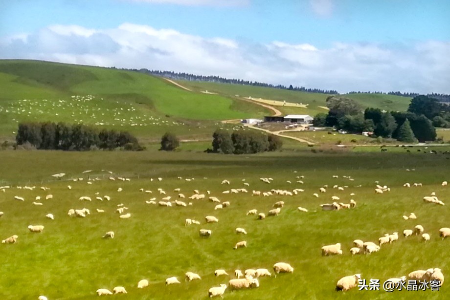 南岛新西兰之旅,新西兰之南岛