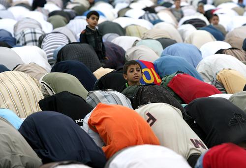 全世界穆斯林的人口变化,欧洲穆斯林人口增长为什么