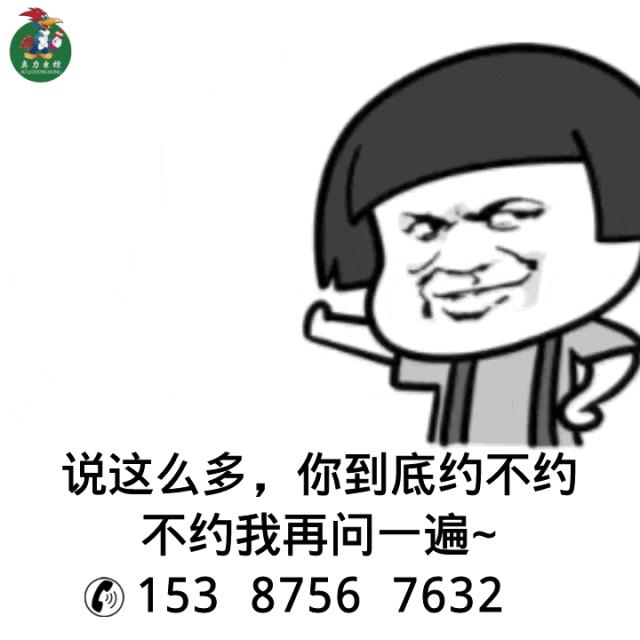 白蚁该怎么处理,家里出现了白蚁有效的解决方法