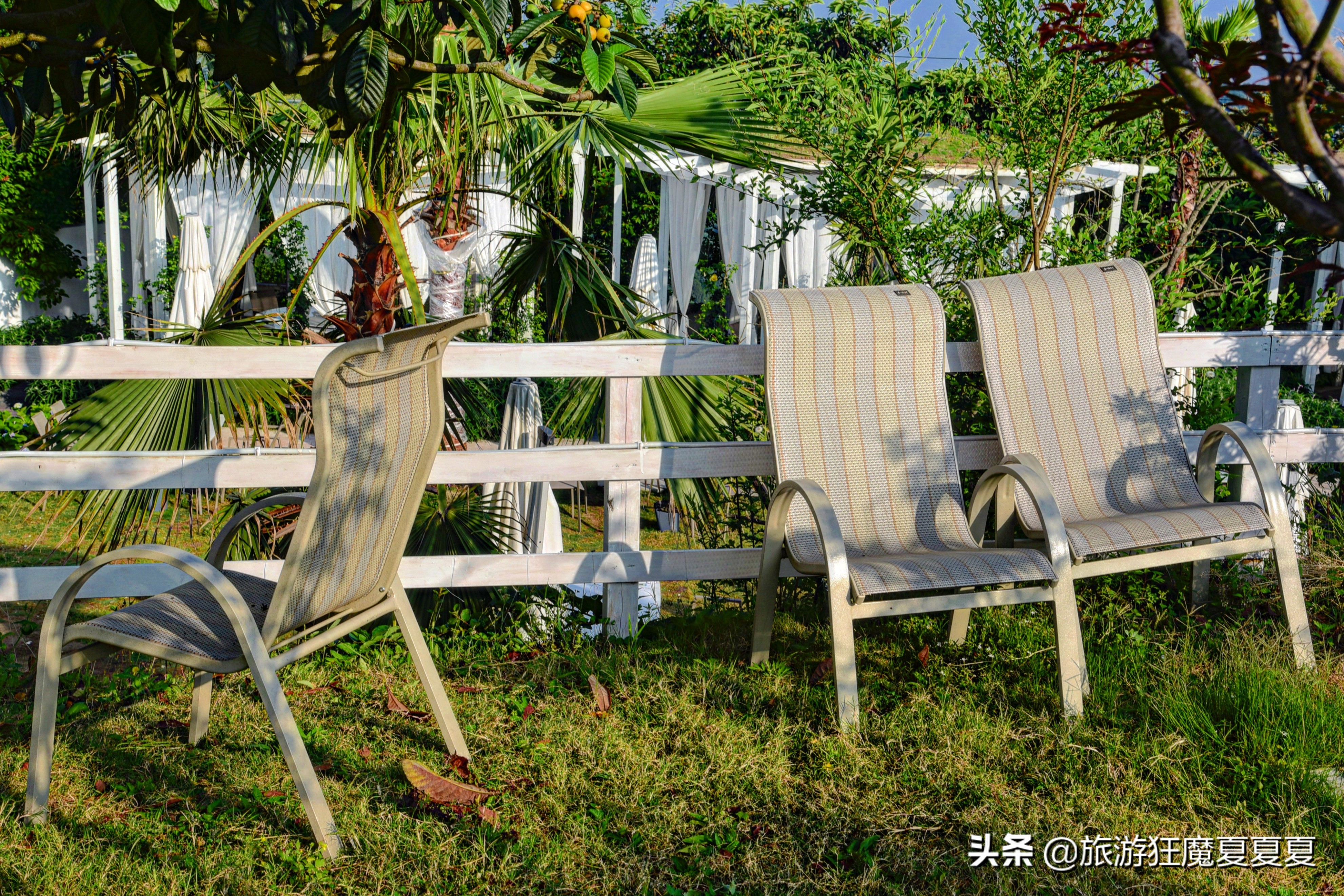 成都龙泉山火到半夜都堵车？跟风夜爬大可不必，这样才有绝美日出