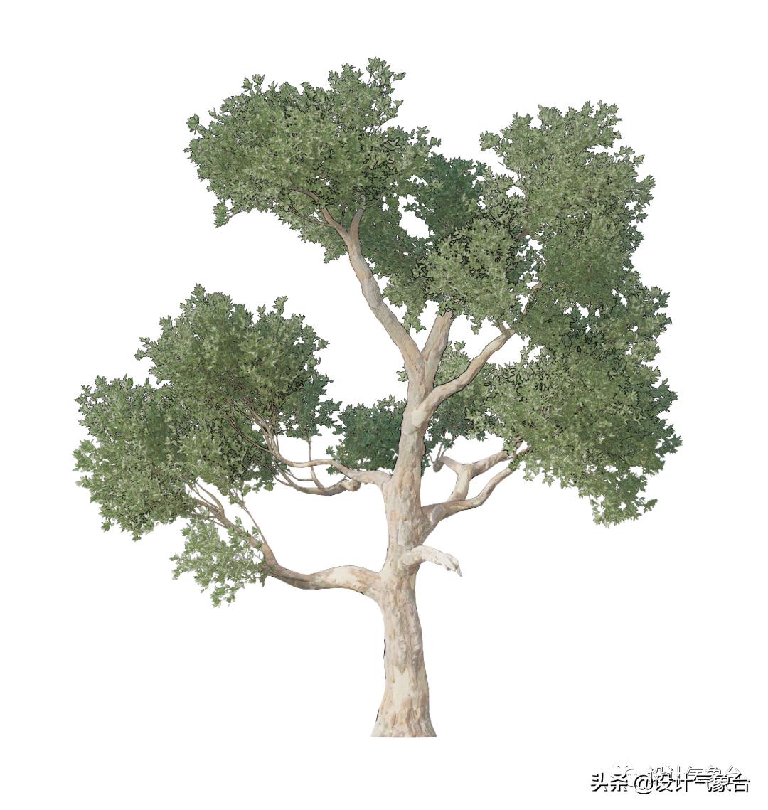 惜败扎哈事务所，但OMA的中国风方案留下一抹惊艳的色彩