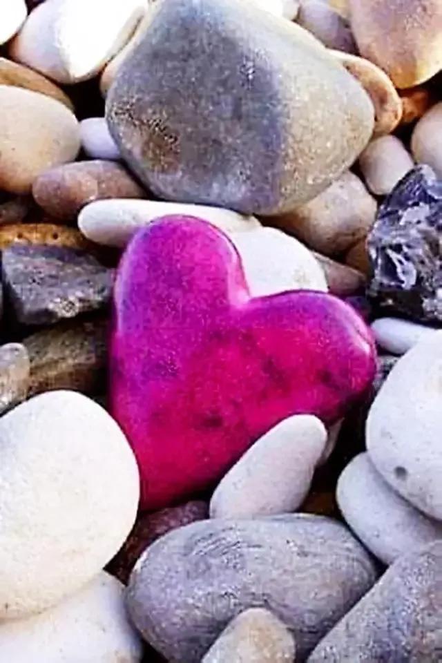 手拿心形图片,心形图片大全