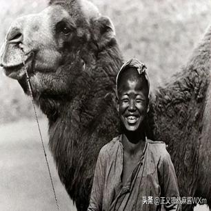 二战女德军士兵照片,老照片二战后悲惨的法国女性