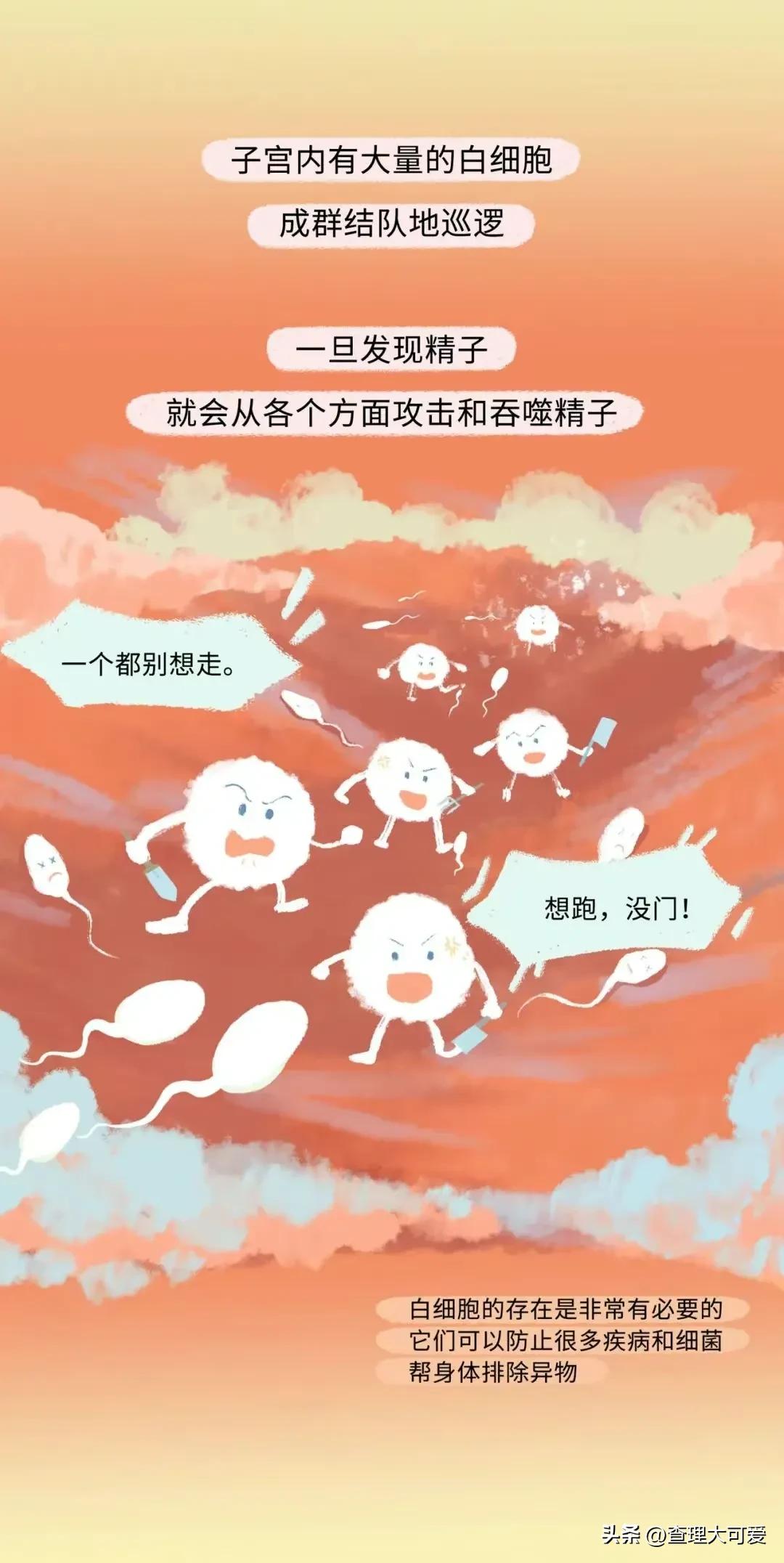 小蝌蚪找妈妈故事完整漫画,小蝌蚪漫画