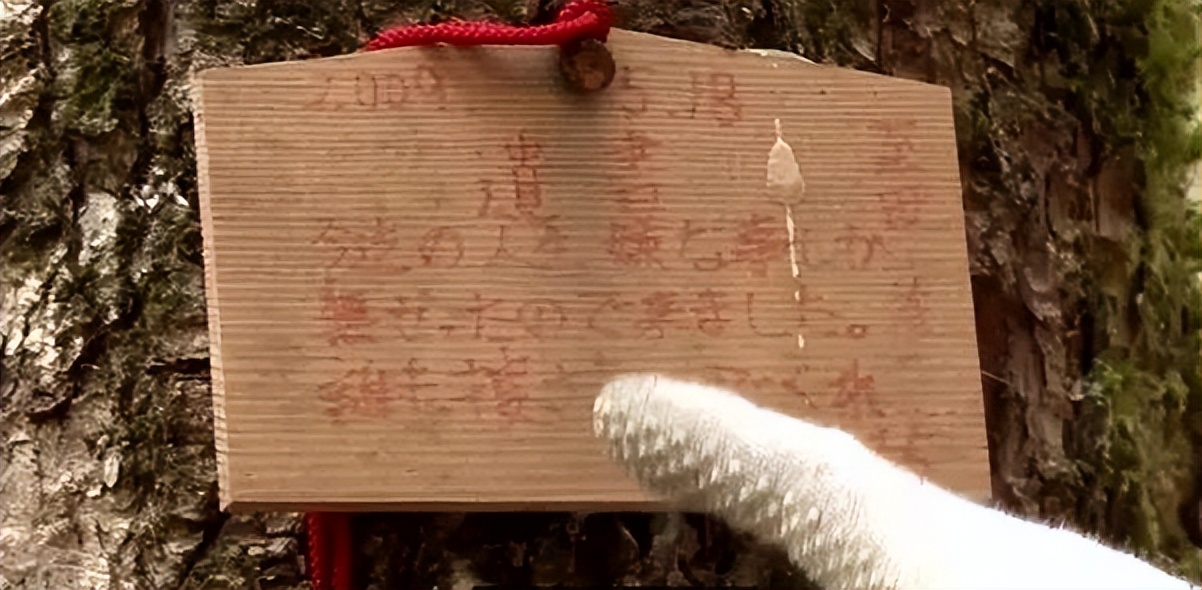 揭秘日本自杀森林:每年数百人上吊自杀,有人专门去捡尸体