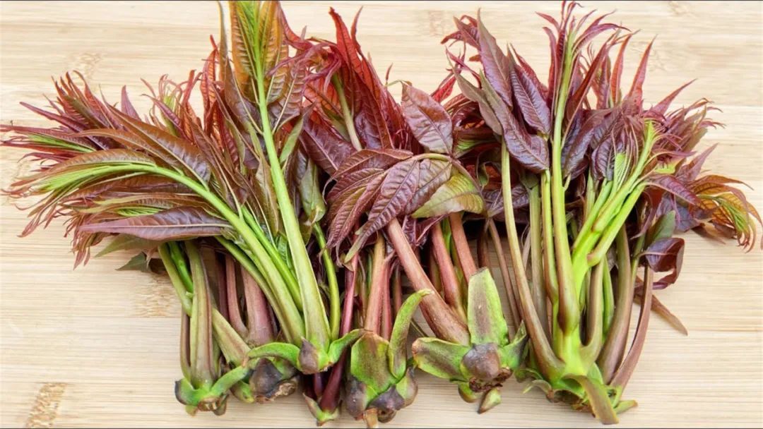 养肝明目不输蒲公英的食物,养肝吃蒲公英