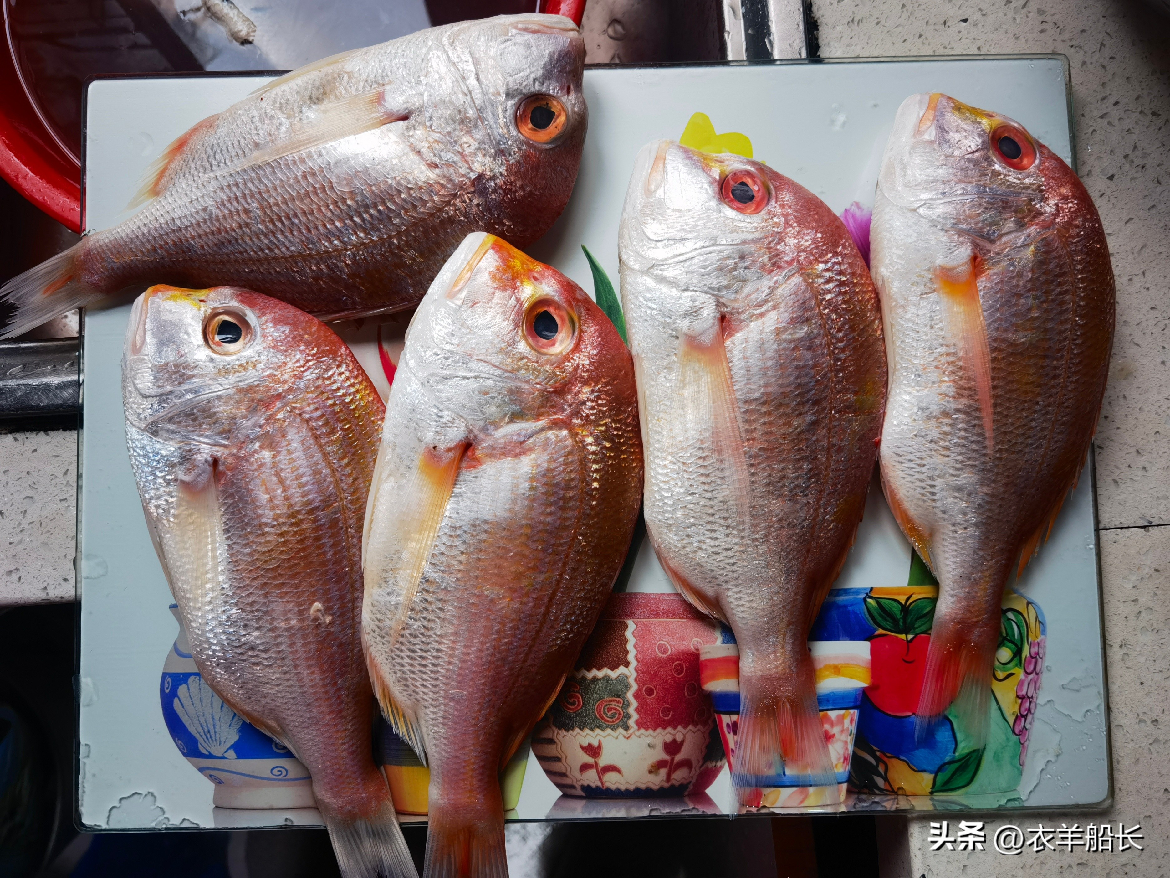 印度见闻——Paradip港买鱼轶事（4）