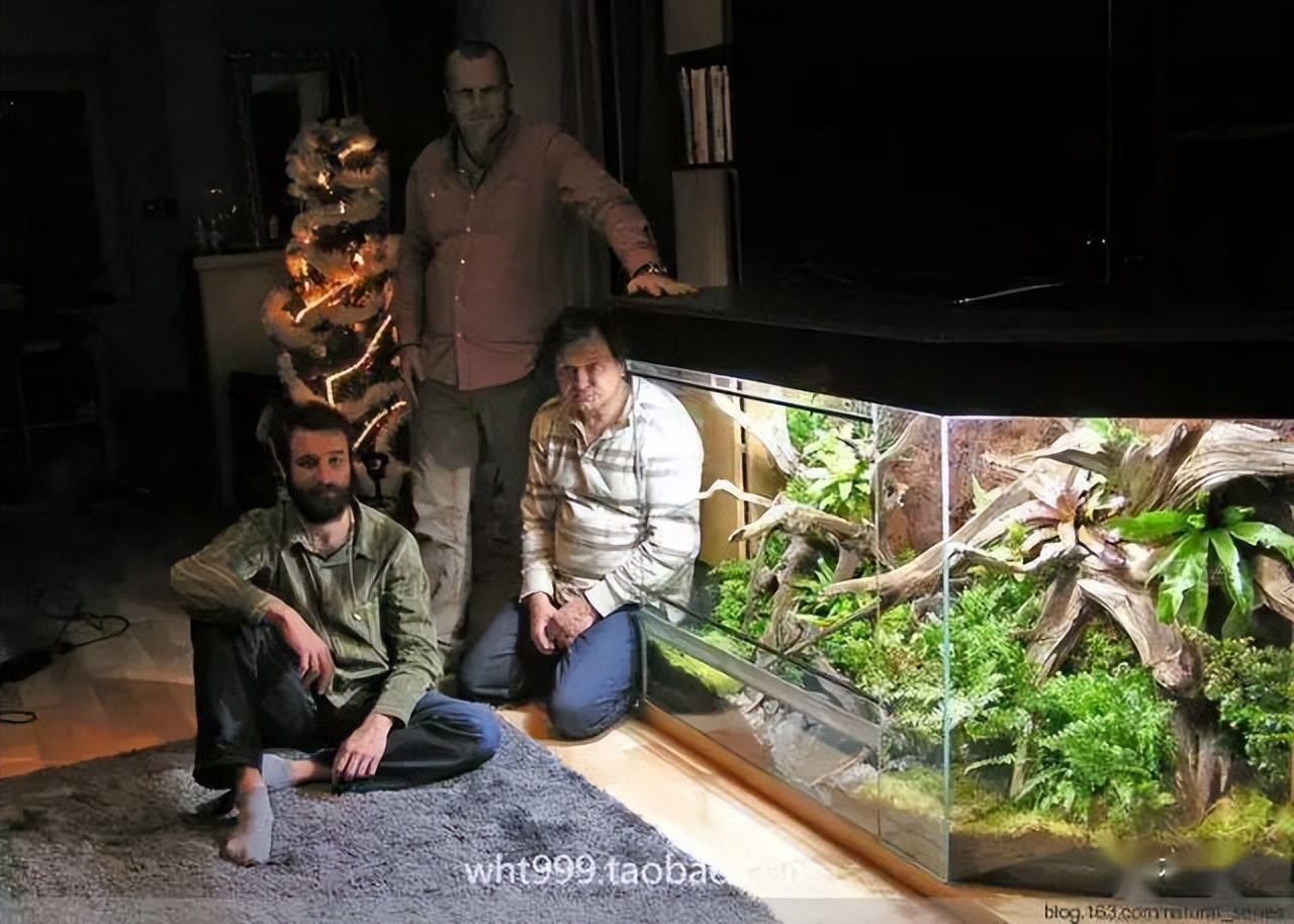 雨林缸超小,雨林缸电视柜