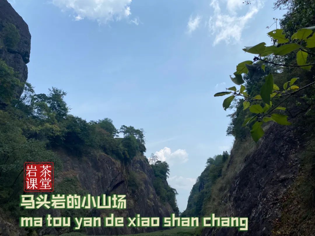 什么样的岩茶是好的岩茶,岩茶叶底很细