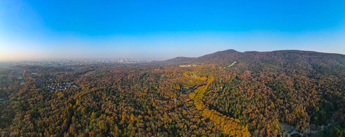 南京六朝古都gdp,南京市gdp排名2022