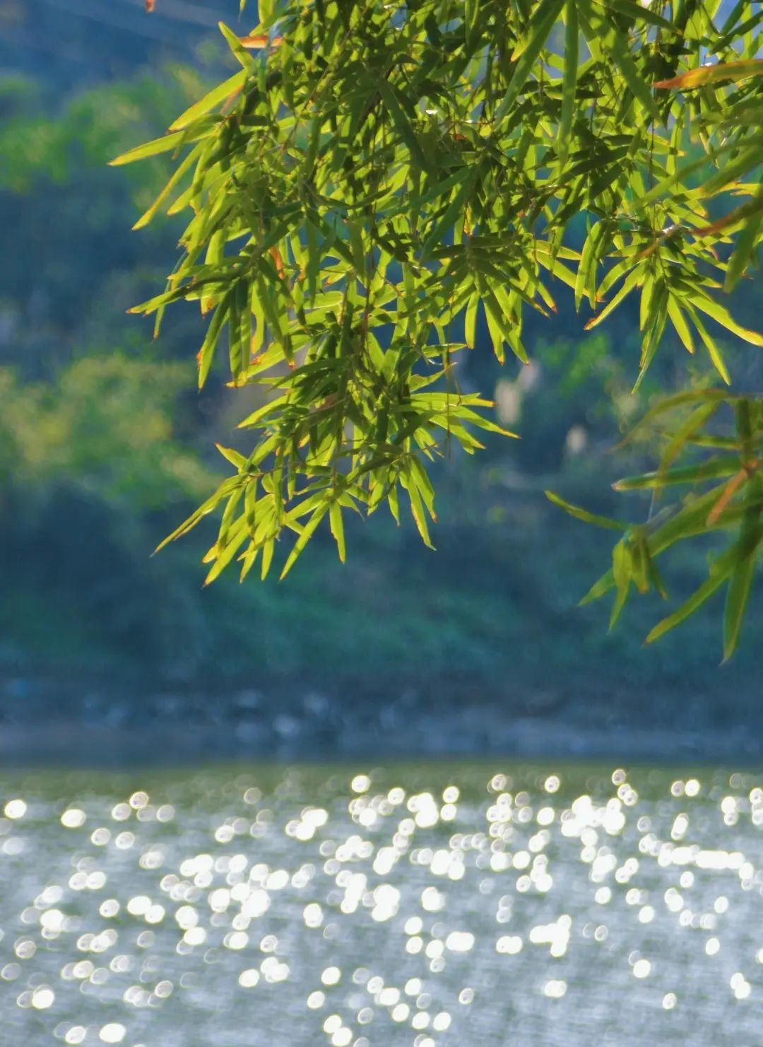 错过了一个秋天,错过了一个春秋