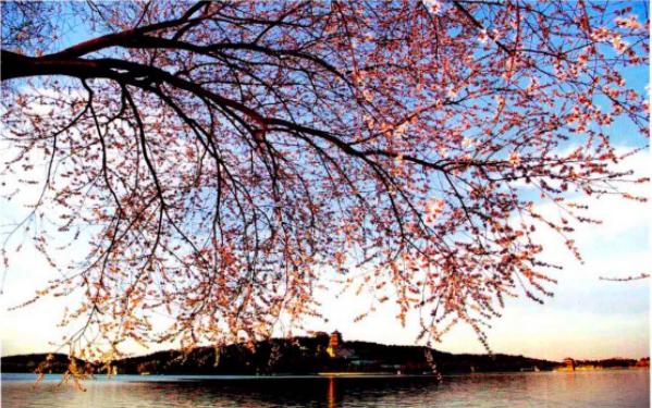 构图元素,构图元素讲解视频教程