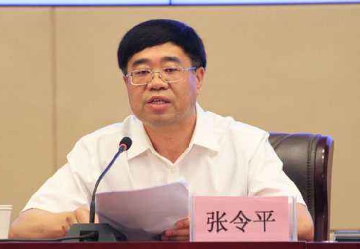 辱骂国土局局长“滚出去”，全家敛财超2000万，张令平的贪超想象