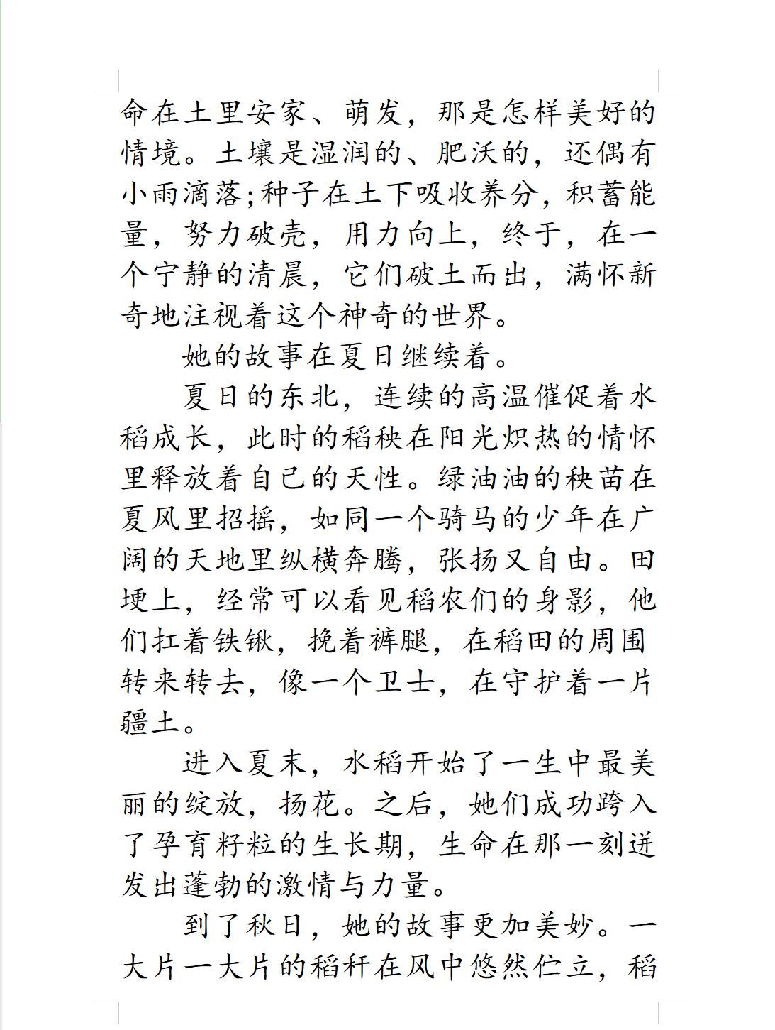 获奖作文《稻米的故事》，充满希望的稻田，老师：想象力很强