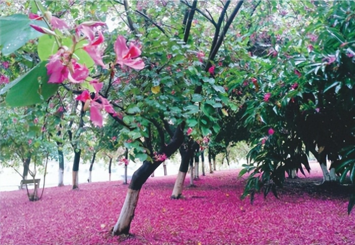 2024年广东医科大学,2023年广东医科大学