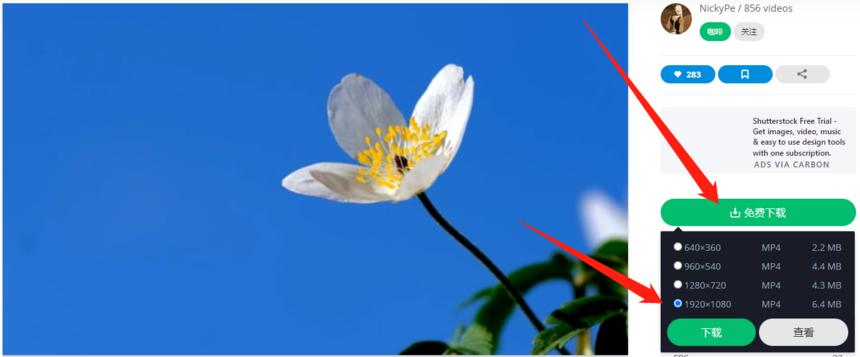 4k无版权照片,4k超高清图库