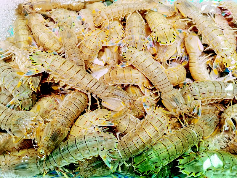 大连进入封海期！新鲜海鱼引发市民囤货热情