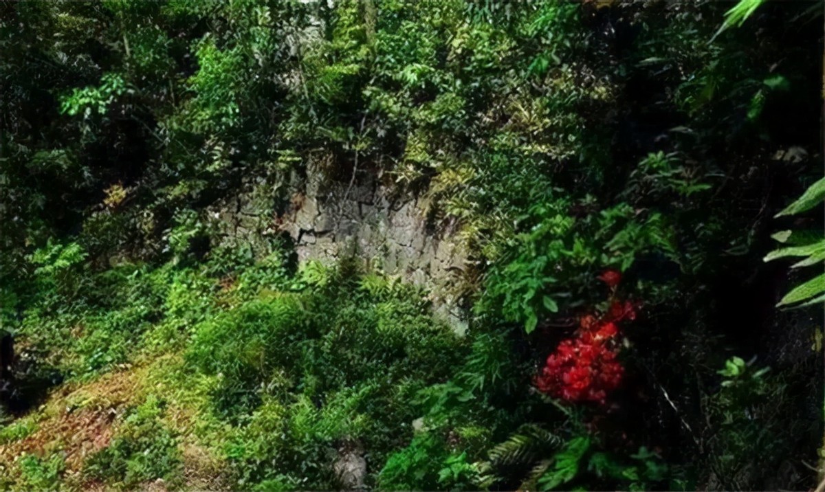 农村盗墓11座皇帝墓,浙江无名皇帝照片