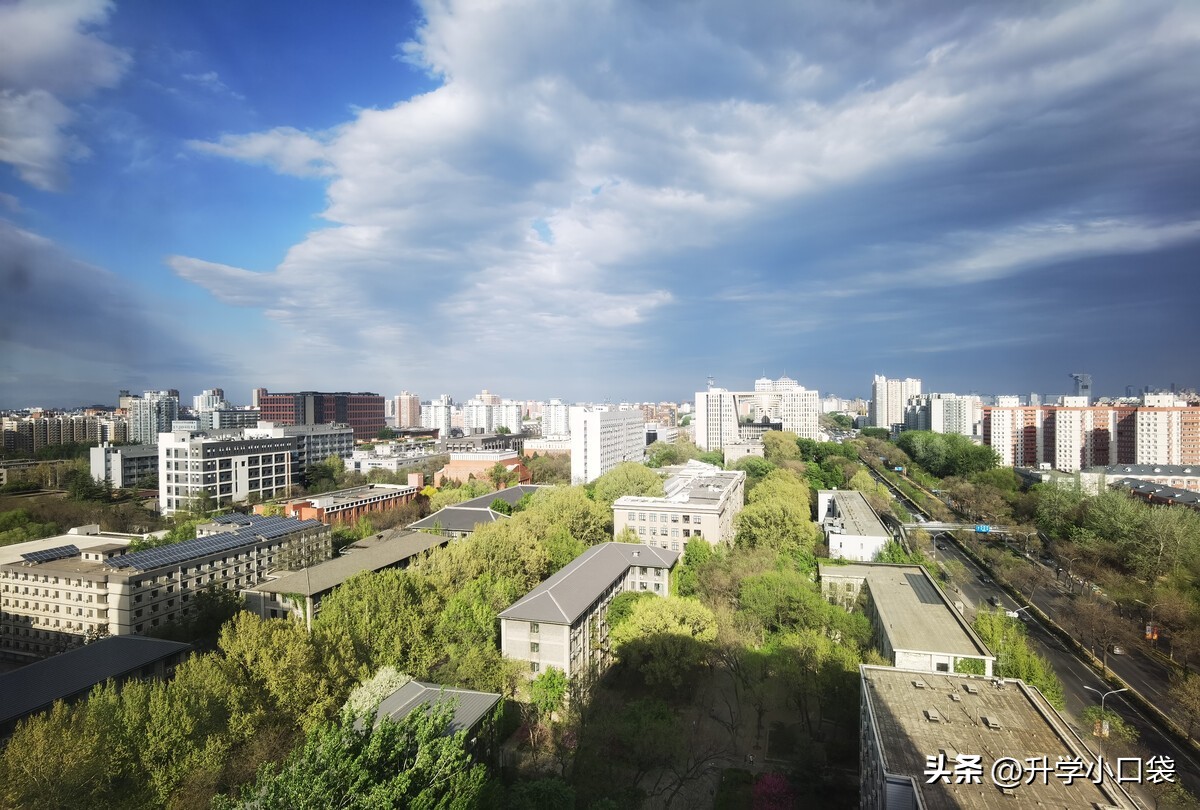 北京林业大学十强专业,中国林科院在林业大学中的排名