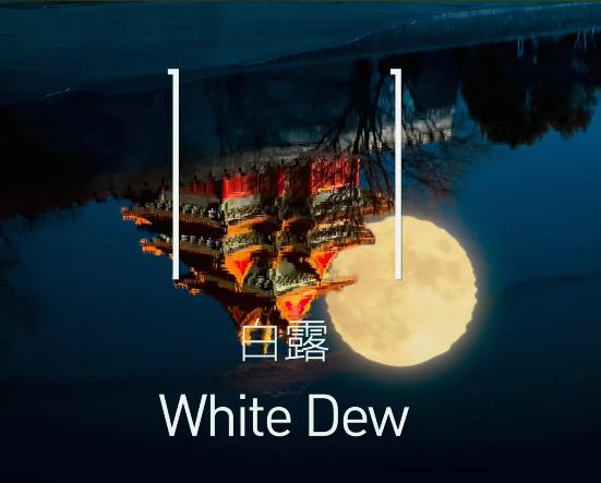 北京冬奥开幕式加拿大服装,北京冬奥会各代表团服装