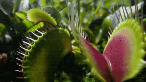 96岁还在奔波工作，这老爷子做出了今年9.8分神片