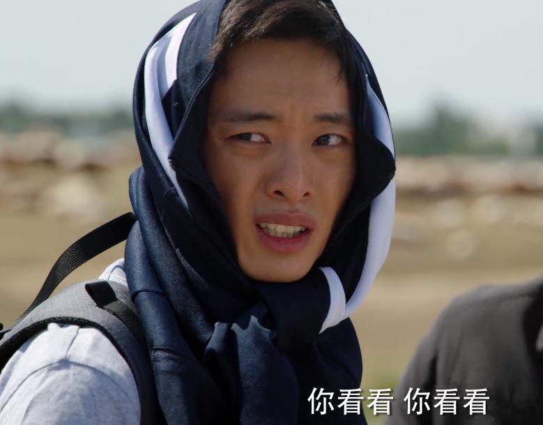 我们这十年之热爱是多少集,我们的十年之热爱免费观看