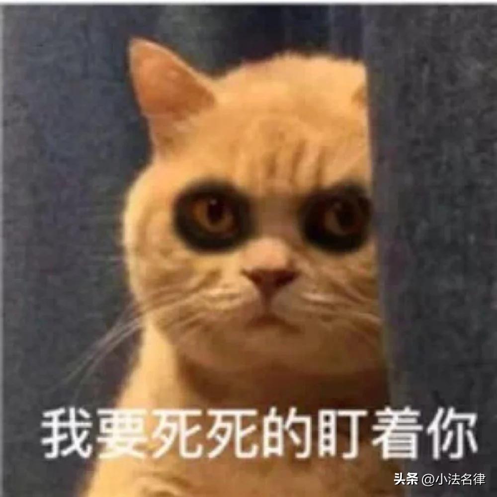 借款前已离婚财产转移了怎么办,欠债期间离婚把房产转移到前妻