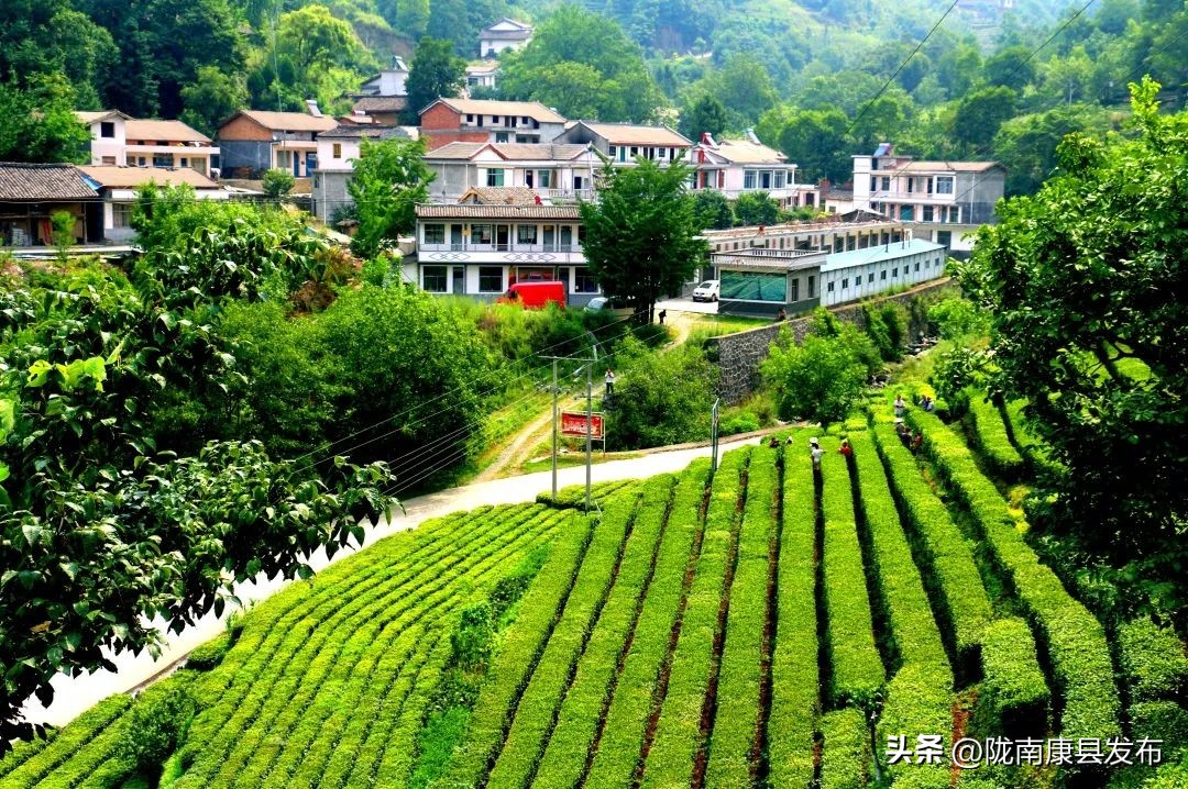 浜斾竴搴峰吇鏃呮父,浜斾竴搴峰吇搴﹀亣鏀荤暐