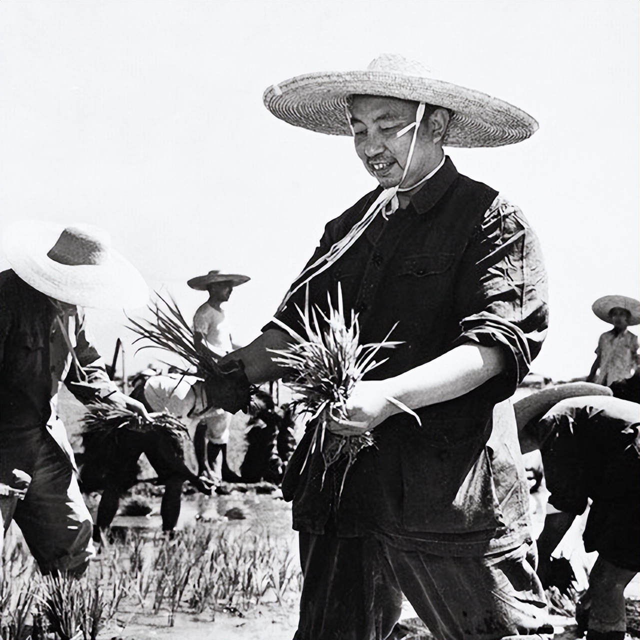 袁隆平让我心生敬意,袁隆平我敬佩的人征文