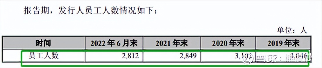 2022.1.28新股申购建议,新股今日申购分析量子熊猫