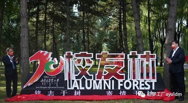 你好母校作文800字,你好母校作文