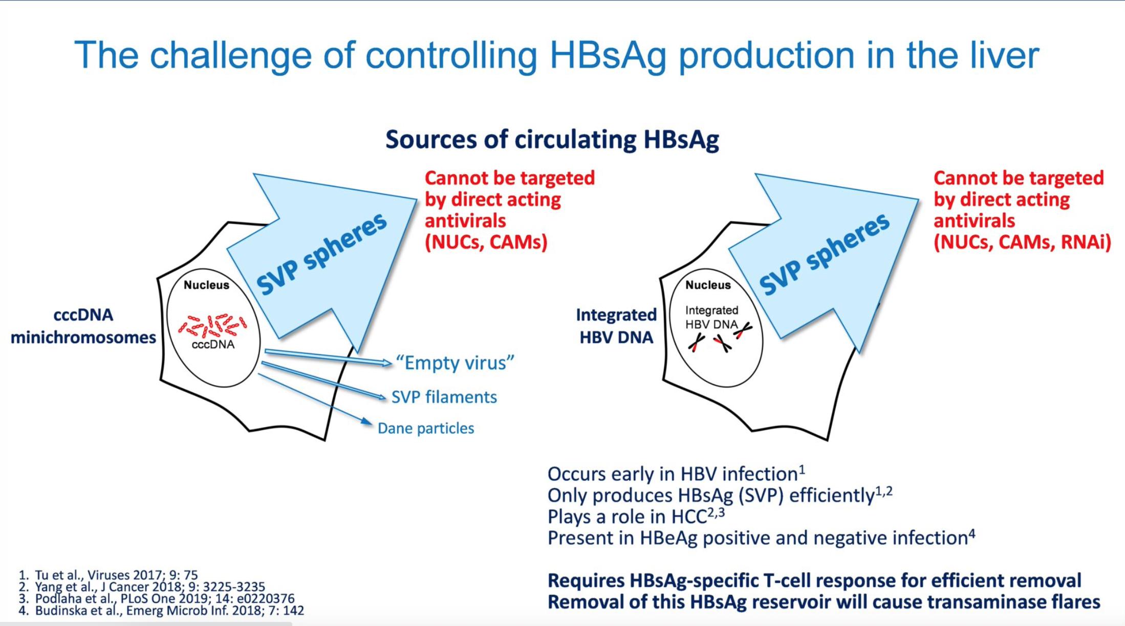 乙肝在研新药rep2139,乙肝新药rep2165进展