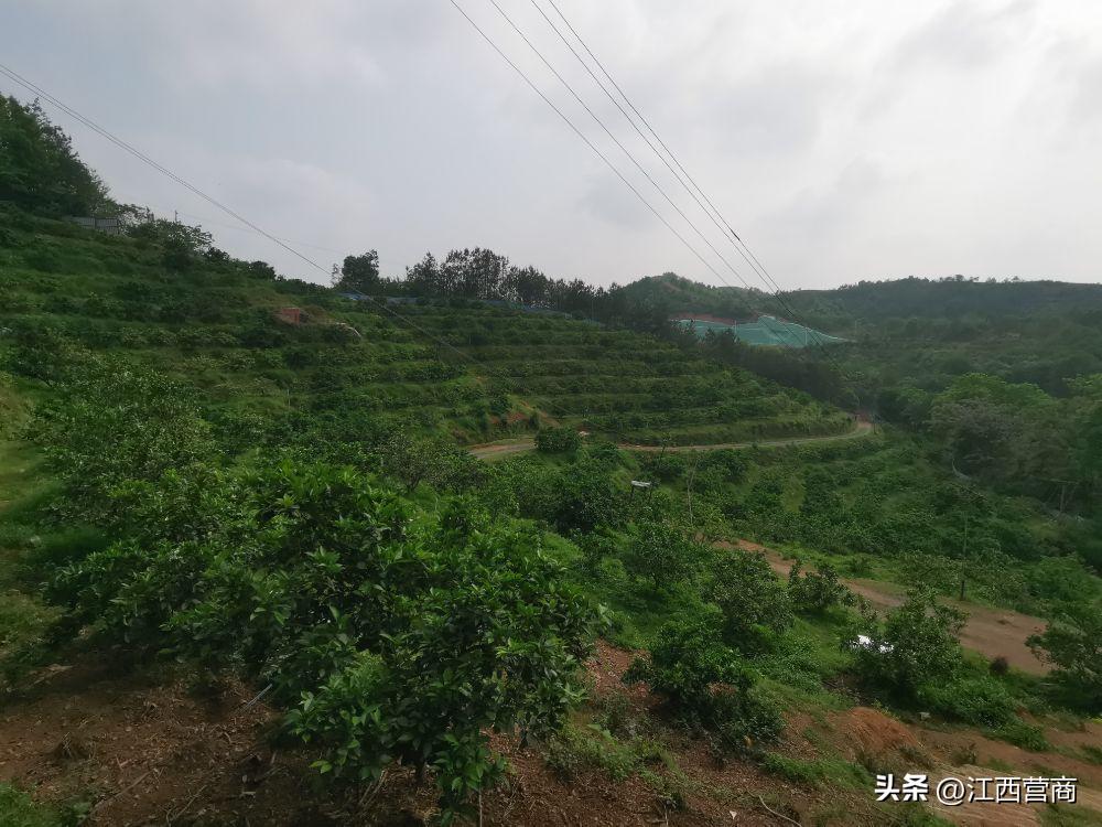 赣州蓉江新区：“降减提”落实创业担保*款贷**政策