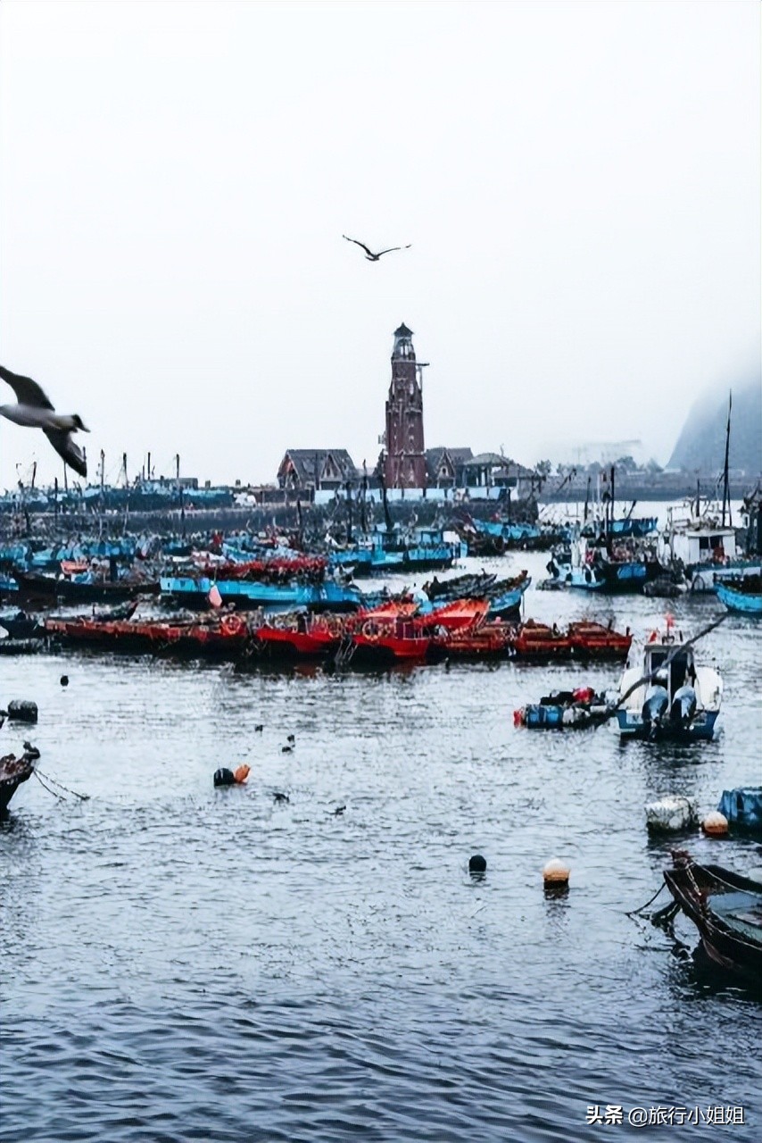 夏日海边微醺氛围感,滨城风光秀丽浪漫气息爆表