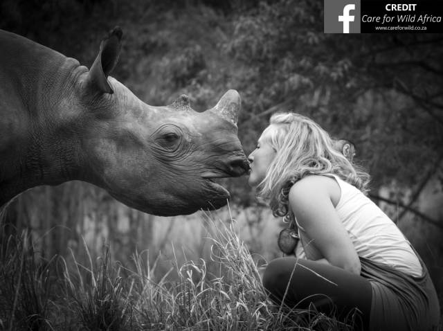 第一个用无人机拍到的鲸鱼,鲸鱼萤火虫