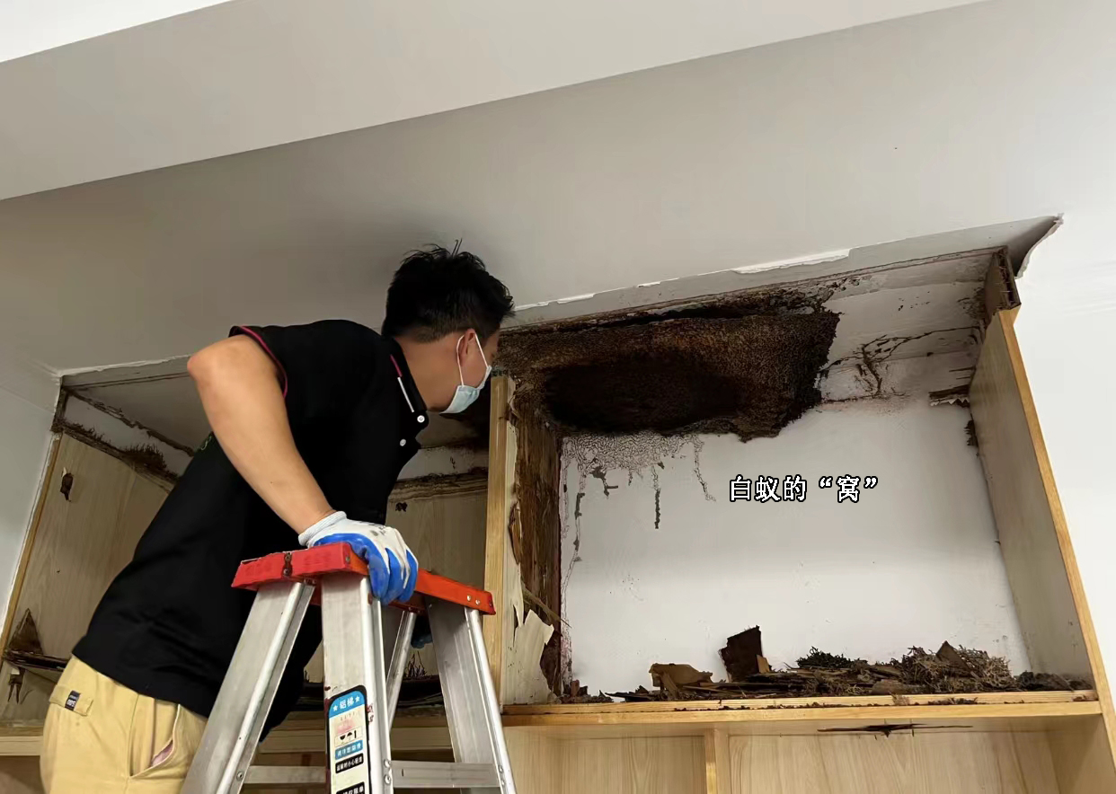 家居清洁小知识,实用的清洁小常识