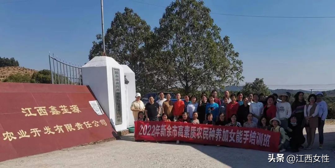 乡村振兴巾帼行动先进事迹,乡村振兴巾帼创新创业大赛