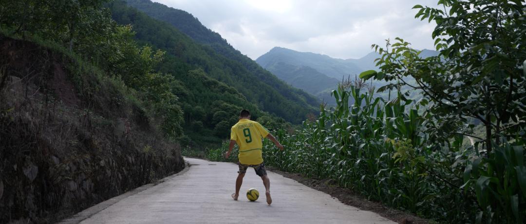 我要把拉马拍成阿甘