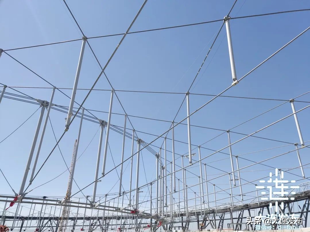 梭鱼湾足球场今天有活动吗,大连梭鱼湾球场怎么预约