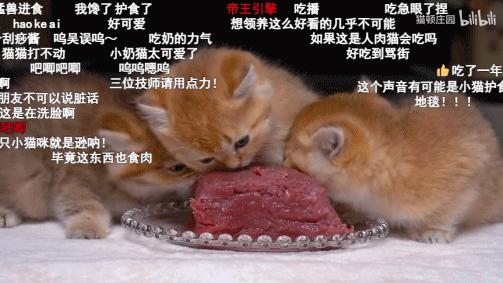 六百万网红想洗白反被封，他哭了狗笑了？网友：他活该