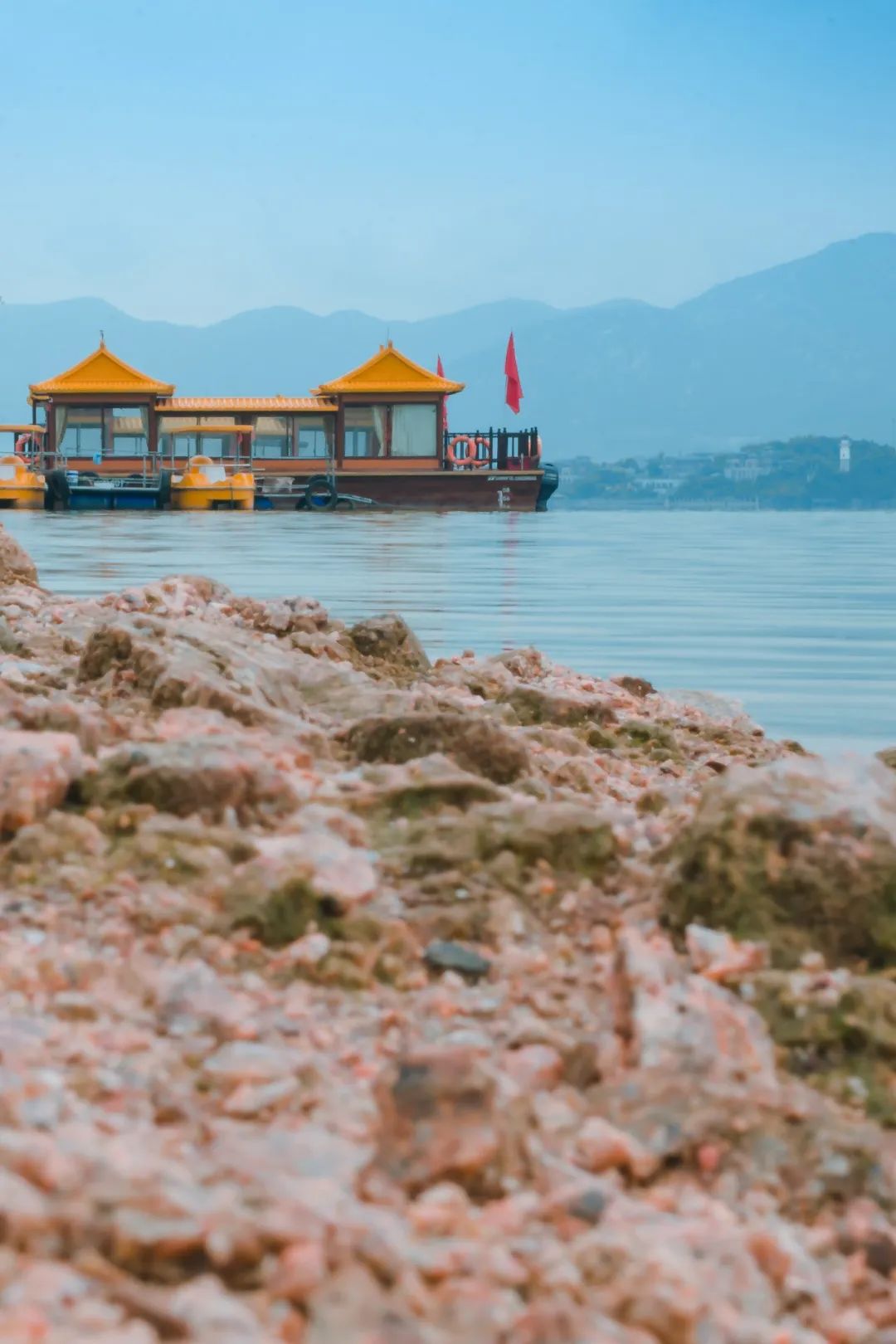 为什么叫山东大葱,为什么大葱用葱白不用葱绿