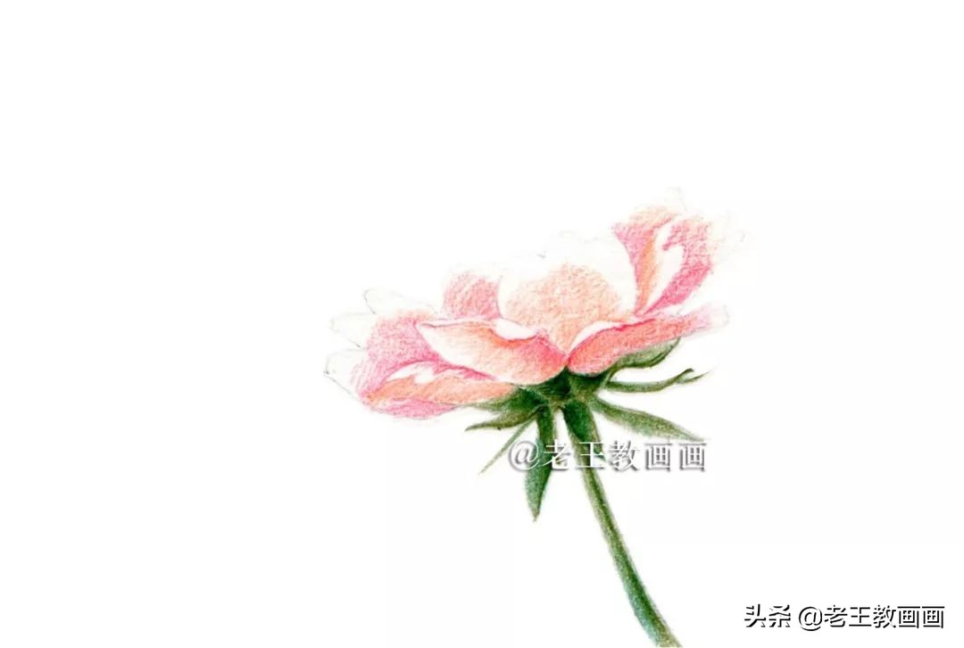 用彩铅画花教程,用彩铅画花小楼
